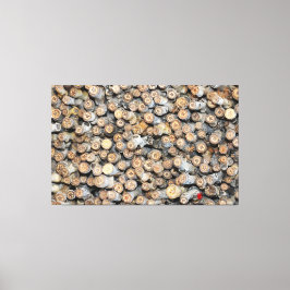 Sterren langs de Rio Grande Cotton Wood Trees Talk Canvas Afdruk