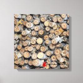 Sterren langs de Rio Grande Cotton Wood Trees Talk Canvas Afdruk