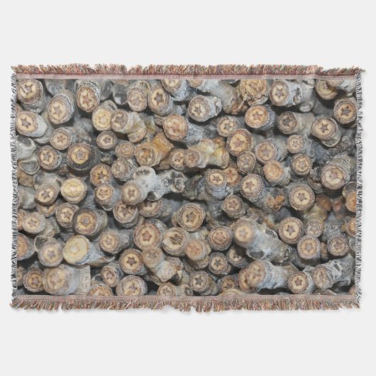 Sterren langs de Rio Grande Cotton Wood Trees Talk Deken (Voorkant)