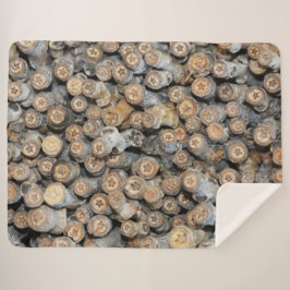 Sterren langs de Rio Grande Cotton Wood Trees Talk Sherpa Deken