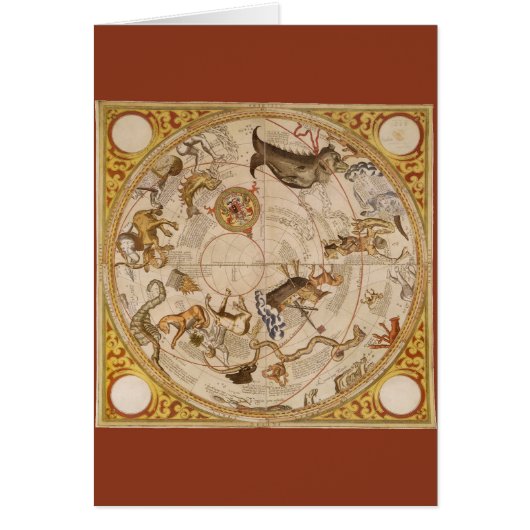 Sterren sterrenbeeld Zuidelijke Hemel Astronomie (Voorkant)