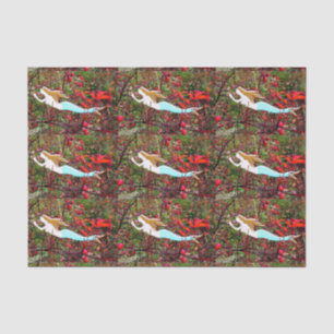 sterren tissuepapier