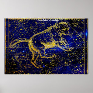 Sterrenbeeld Grote Beer Poster