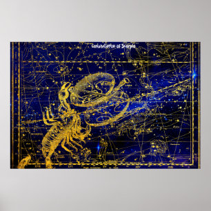 Sterrenbeeld Schorpioen Poster