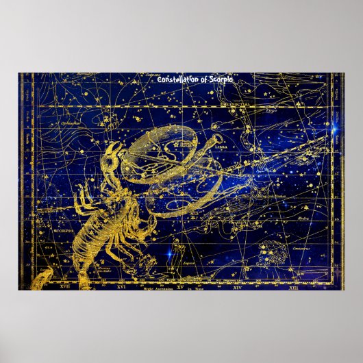 Sterrenbeeld Schorpioen Poster (Voorkant)