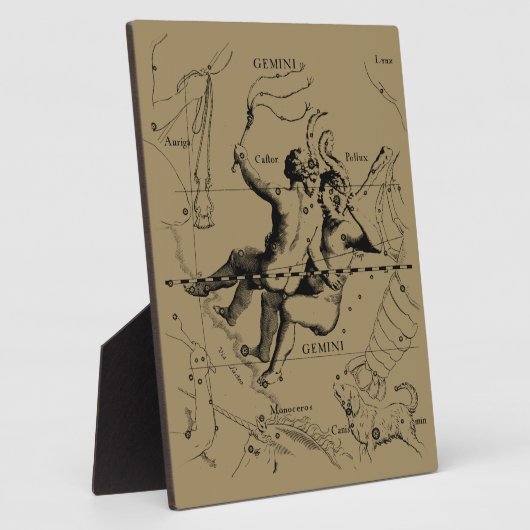 Sterrenbeeld Tweelingen Dierenriem Hevelius 1690 Fotoplaat (Zijkant)