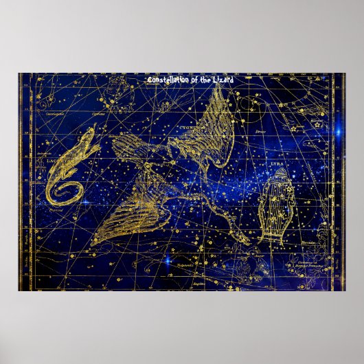 Sterrenbeeld van de Hagedis Poster (Voorkant)