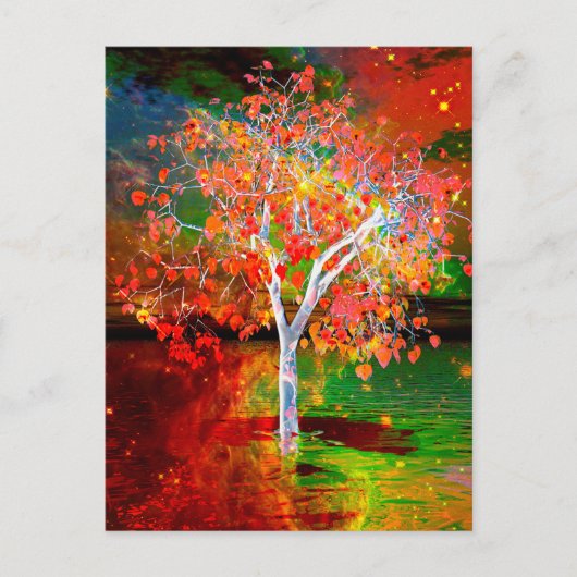 Sterrenboom ansichtkaart briefkaart (Voorkant)