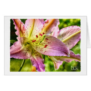 Sterrenkijker Lelie Bloem/Floraal Watercolor Kunst
