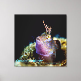 Sterrenkijker vanaf onderwater canvas print