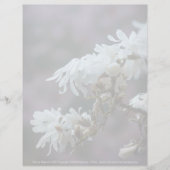 Sterrenmagnolia 5780 (Voorkant)