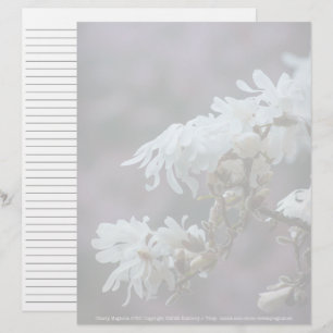 Sterrenmagnolia 5780