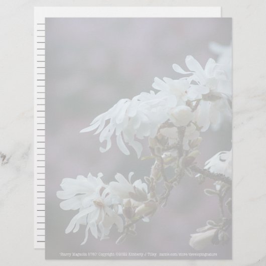 Sterrenmagnolia 5780 (Voorkant / Achterkant)