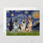 Sterrennacht - 3 Duitse herders Briefkaart (Voorkant / Achterkant)