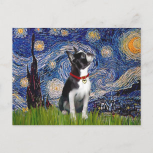 Sterrennacht - Boston T (2rc) Briefkaart