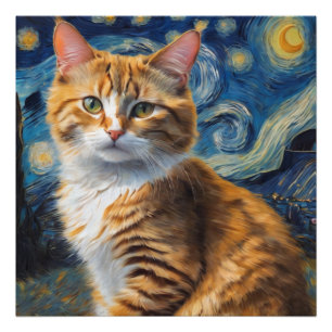 Sterrennacht kunst met een kat foto afdruk
