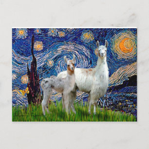 Sterrennacht met twee lamas briefkaart