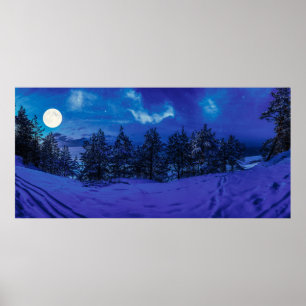 Sterrennacht met volle maan in het bos poster