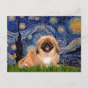 Sterrennacht - Pekingees 1 Briefkaart