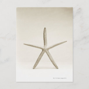 Sterrenvis Briefkaart