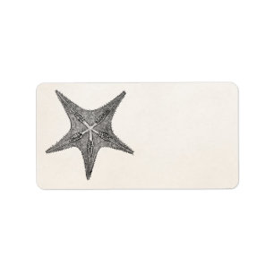 stervis Antiek Star Fish Sjabloon Etiket