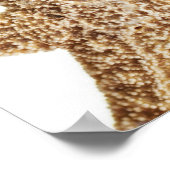 Stervis Poster (Hoek)