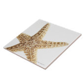 Stervis Tegeltje (Zijkant)