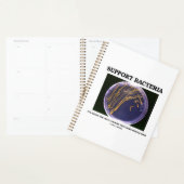 Steun voor bacteriën vaak slechts cultuur Sommige  Planner (Display)