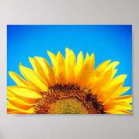 Steun voor de blauwe hemelgele zonnebloem in Oekra