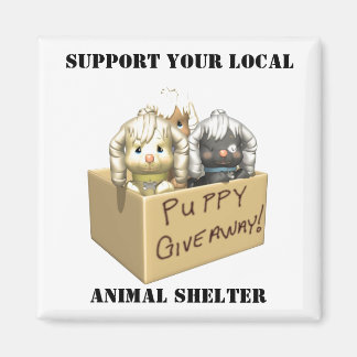 steunmagneet magneet