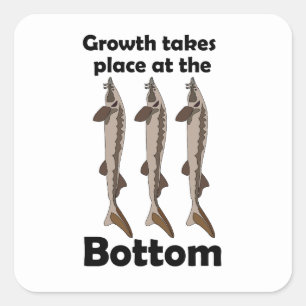 Steur Vis Bodembewoner Inspirerend Citaat Vierkante Sticker