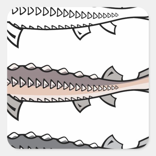 Steur zeldzame vissen vierkante sticker (Voorkant)