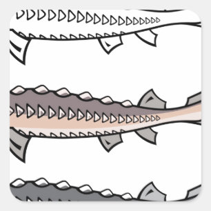 Steur zeldzame vissen vierkante sticker