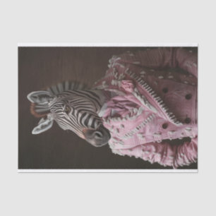 Steve de Zebra Tissuepapier