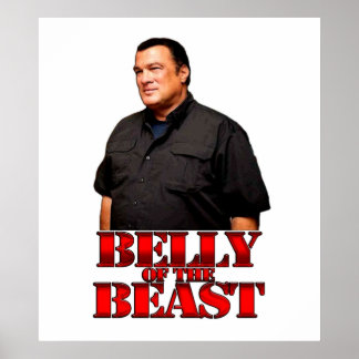 Steven Seagal Belly van het beest Poster