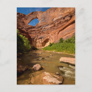 Stevens Arch - Escalante River - Utah Briefkaart