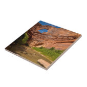 Stevens Arch - Escalante River - Utah Tegeltje (Zijkant)