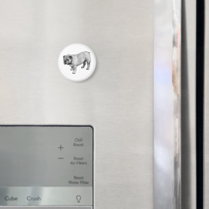 Stevige puntvorm magneet