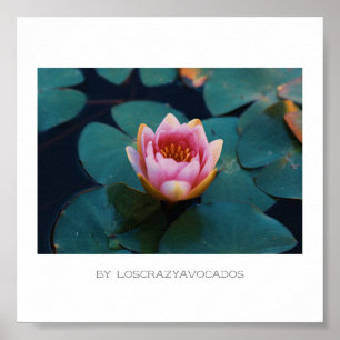 Stevige roze Planten Poster van Lily Flowers