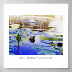 Stevige roze Planten Poster van Lily Flowers