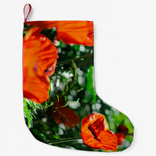 Stevige tuinrode Oranje papaverbloemen Kleine Kerstsok