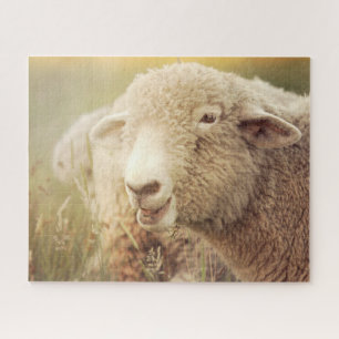 Stewie Jigzaag Puzzle Legpuzzel