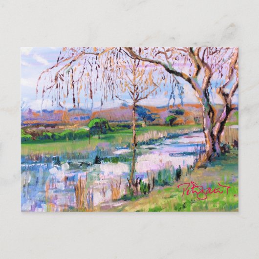 Steyning West Sussex Briefkaart (Voorkant)