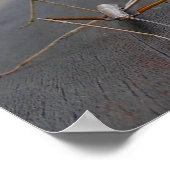 Stick à pied Impression / Poster (Coin)