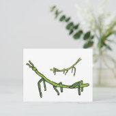 Stick Bug Insect Briefkaart (Staand voorkant)