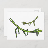 Stick Bug Insect Briefkaart (Voorkant / Achterkant)