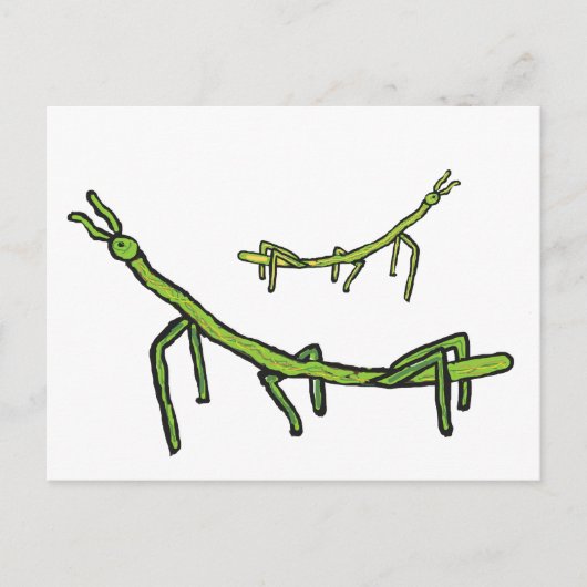 Stick Bug Insect Briefkaart (Voorkant)