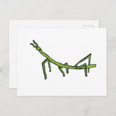 Stick Bug Insect Briefkaart (Voorkant / Achterkant)