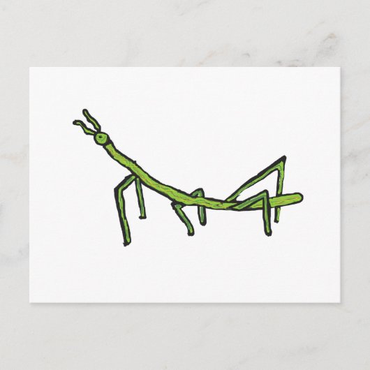 Stick Bug Insect Briefkaart (Voorkant)