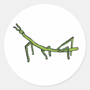 Stick Bug Insect Ronde Sticker